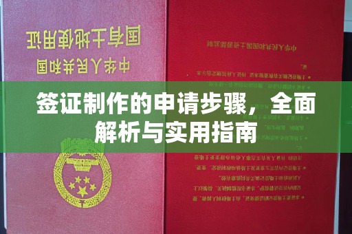 横山签证制作的申请步骤，全面解析与实用指南